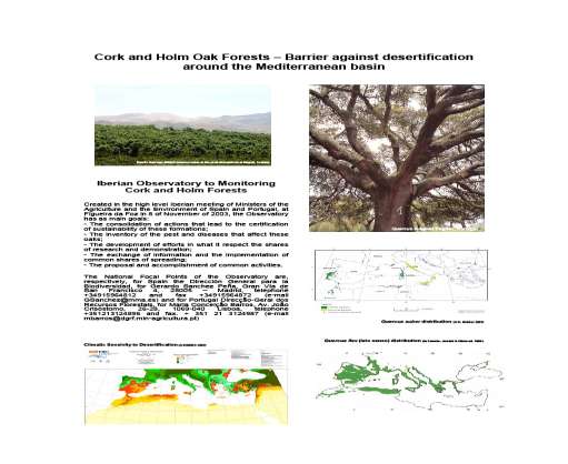 Poster elaborado pelos Pontos Focais Portugueses da Convenção das Nações Unidas de Combate à Desertificação e do Observatório e apresentado pelo Ponto