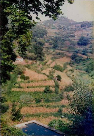 REGIÃO NORTE Os usos do solo A transformação não-urbana da paisagem na Região Norte está profundamente marcada pela especialização agrícola no Entre Douro e Minho e as culturas mediterrânicas do