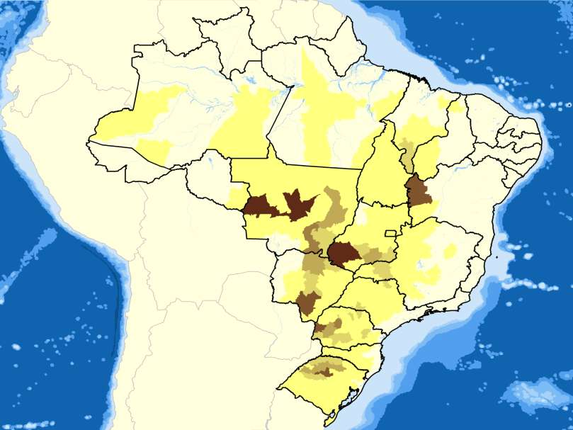 Evolução da Produção de Grãos EVOLUÇÃO