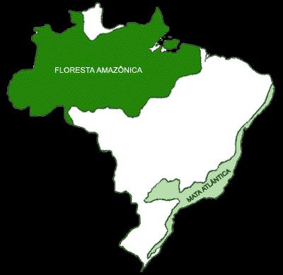 Amazônia - 40% do território