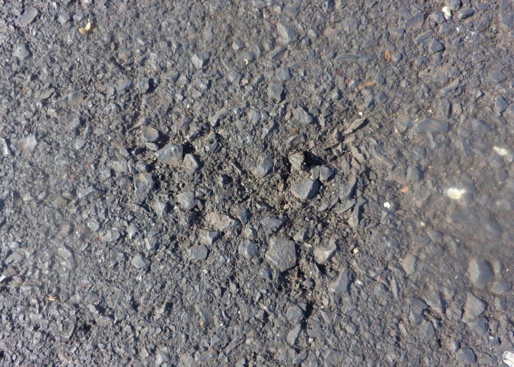 Figura 9. Desgaste Superficial do Asfalto. Fonte próprio autor. A causa é a volatização e a oxidação do asfalto, sob ação abrasiva do tráfego e de causas naturais.