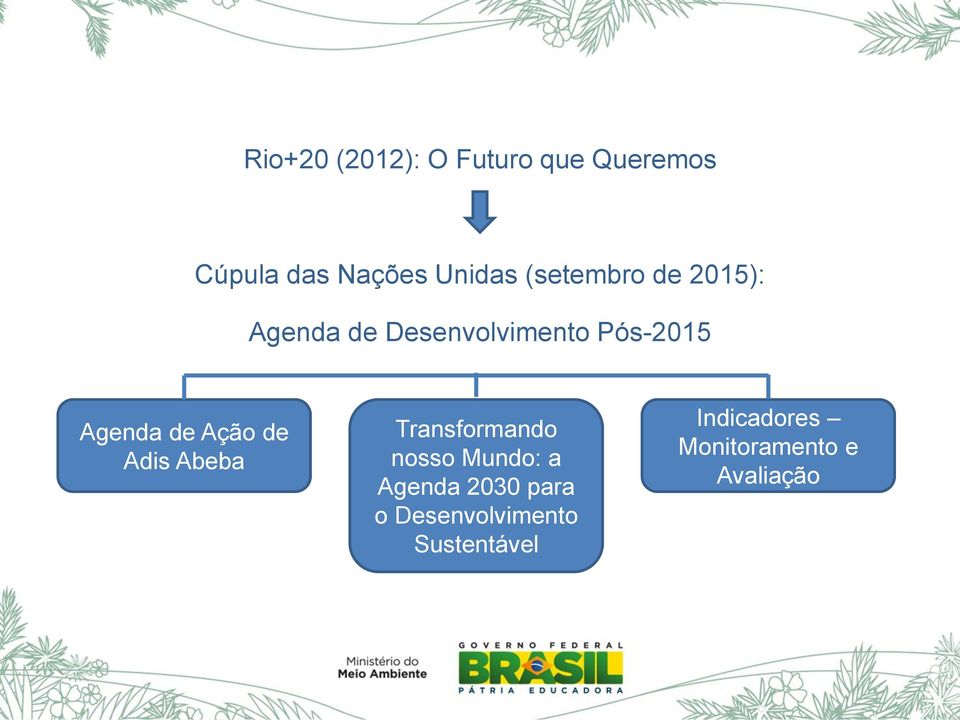 Ação de Adis Abeba Transformando nosso Mundo: a Agenda 2030 para