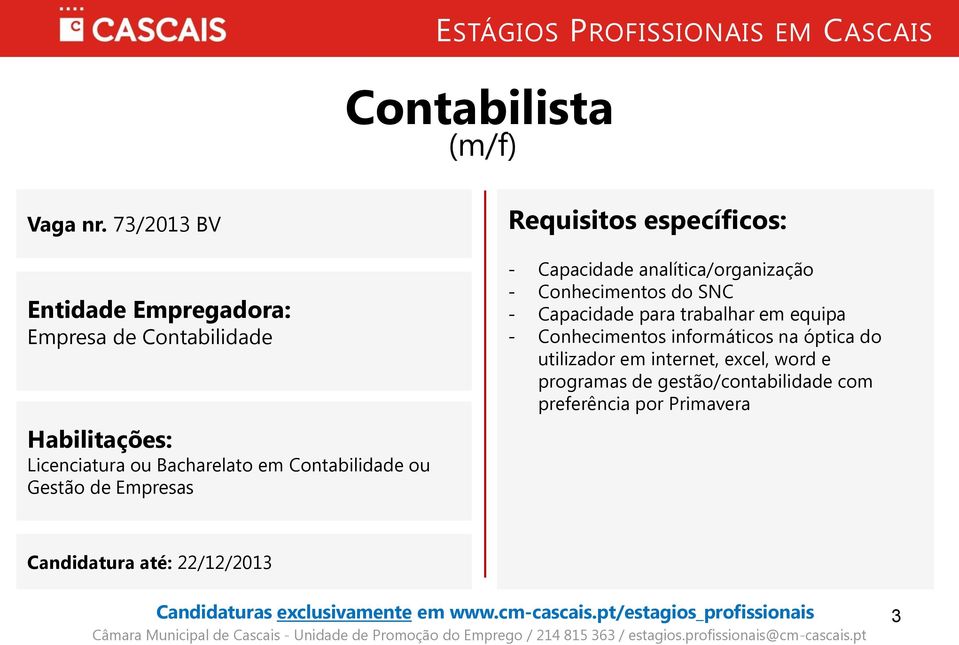 de Empresas - Capacidade analítica/organização - Conhecimentos do SNC - Capacidade para