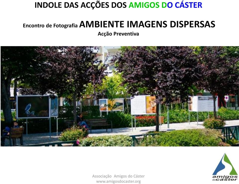 AMBIENTE IMAGENS