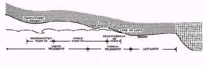 29 3.3 Morfodinâmica praial e as cúspides A terminologia das feições morfológicas do perfil praial está representada na figura 12.