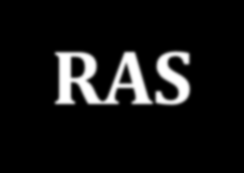 POR QUE IMPLANTAR RAS? 1. Fragmentação histórica do sistema de saúde pela própria forma de constituição do SUS 2. Concorrência entre os serviços 3. Desorientação dos usuários 4.