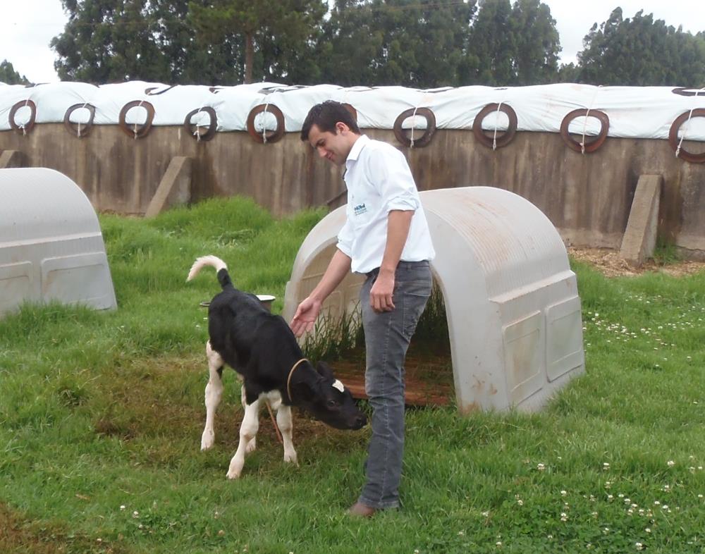 Coccidiose em Bezerros Manejo e Controle da Enfermidade Higiene e limpeza das instalações Colostragem