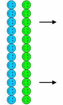 Filas Paralelas Podemos considerar que existem três formas de filas