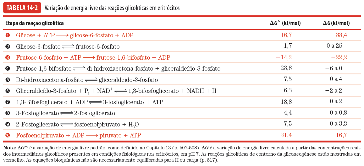 Gliconeogênese Não é a simples reversão da Glicólise As 3