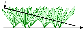 Intensidade de corte ou pastejo Eficiência de Pastejo: Percentual de forragem consumida no intervalo de tempo do pastejo, relativamente ao acúmulo de forragem.