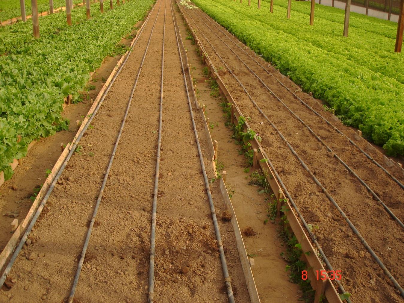 Uso contínuo do solo Produção de