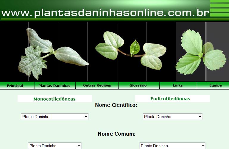 Publicações sobre identificação de plantas daninhas