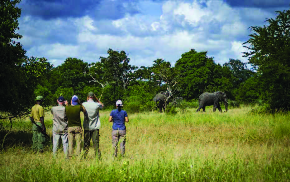 Safaris a Pé Caminhar é a maneira perfeita de observar a beleza e a natureza selvagem do Parque Nacional a pé através de uma diversidade de habitats, animais selvagens e aves extraordinárias.