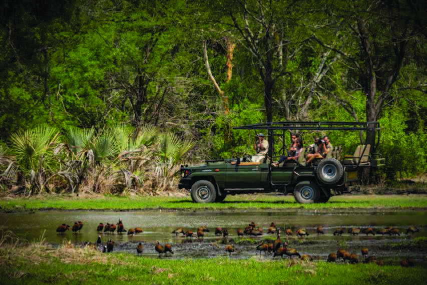 Safaris de Jipe Venha connosco num safari de jipe e descubra o Parque Nacional da Gorongosa de uma diversidade de habitats, animais selvagens e aves extraordinárias.