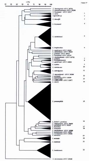 Identificação de Legionella a partir dos perfís proteicos Veríssimo, A., P. V. Morais, A. Diogo, C. Gomes & M. S. da Costa.