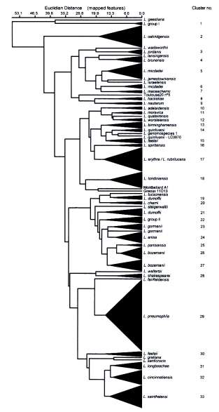 Identificação de Legionella pelos ácidos gordos 6790 amostras examinadas entre 1997 e 2013 para legionelas. Cerca de 1600 estirpes de Legionella identificadas pela análise dos ácidos gordos.