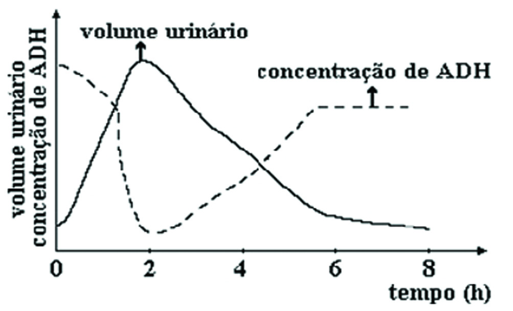 Fixação A análise do gráfico permite concluir que a) o hormônio ADH tem efeito diurético, o que faz aumentar o volume urinário; b) o volume urinário não tem nenhuma relação com a secreção do hormônio