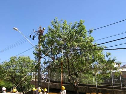 Ações possíveis visão Concessionária de Energia Adequação das redes Estabelecido novo padrão de rede aérea urbana, com configuração compacta protegida (1999) ou isolada Visão de futuro evitar novos