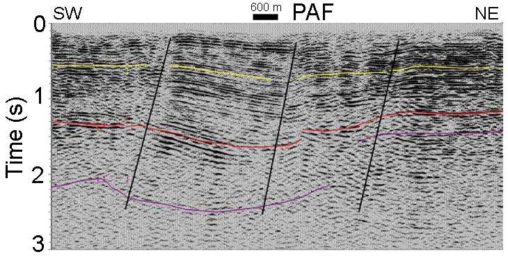 Perfis Sísmica reflexão Indústria petrolífera Sísmica S