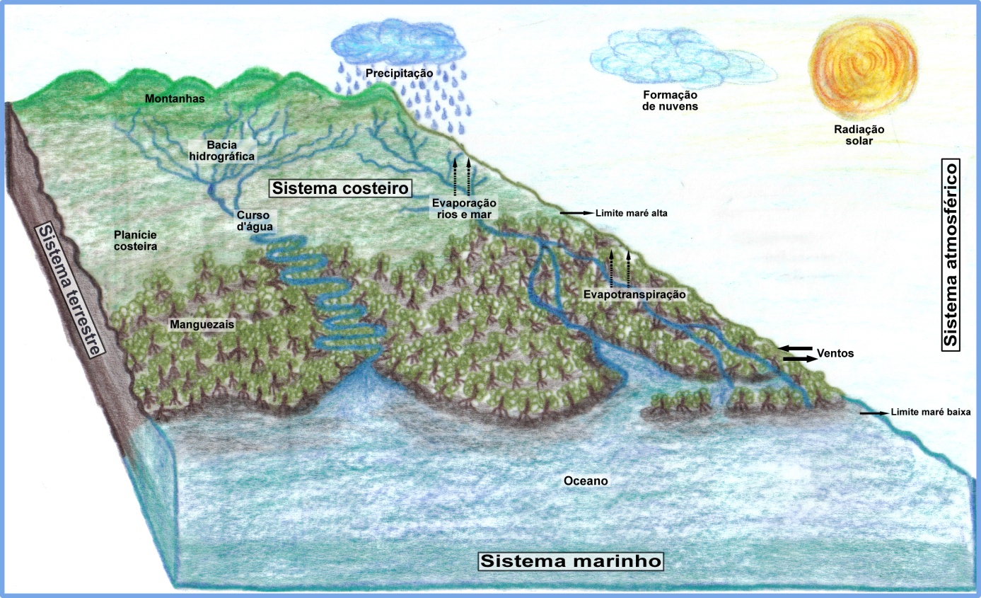 Figura 2: A ocorrência de manguezais em sistemas costeiros. Elaboração: Santos (2014).