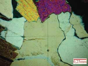 83 s óxidos e hidróxidos de ferro, também gerados de minerais opacos, da própria goethita, de feldspatos e mais raramente de vestígios de biotita, se distribuem no interior dos cristais de