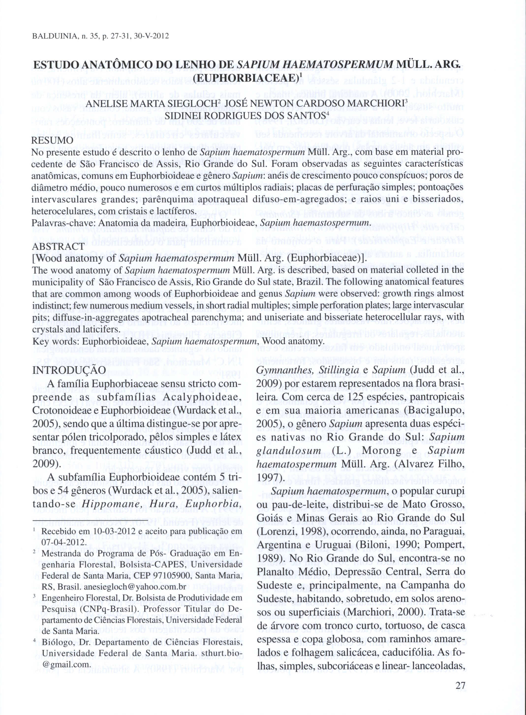 BALDUINIA. n. 35, p. 27-31, 30-V-2012 ESTUDO ANATÔMICO DO LENHO DE SAPIUM HAEMATOSPERMUM MÜLL.