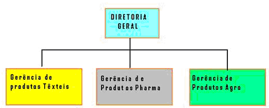 Figura 1:Organograma Funcional TIPOS DE ESTRUTURA ORGANIZACIONAL Por Projetos. Por processos. Produtos ou Serviços.