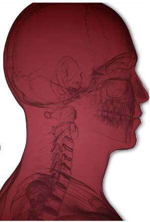 INTRODUÇÃO Cancro Oral no mundo Os cancros da cabeça e pescoço (CCP) são o sexto tipo de cancro mais comum no mundo O cancro oral corresponde a 48% dos CCP 90 %