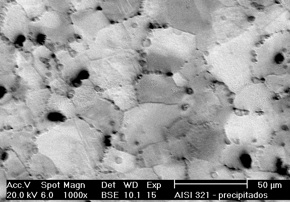47 Aço AISI 321 As Figuras 32 e 33 apresentam as micrografias do aço AISI 321, estabilizado (900 C, 75 min) e depois submetido a um envelhecimento por 600 C durante 80 e 120 horas, respectivamente.