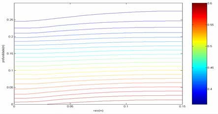 a influência da absorção de água pela raiz aumentou. Figura 0 - Simulação das linhas de contorno da densidade de ápices ( ρ com Rr < Rz.