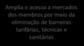 que estabelecem novos padrões para diversos temas, dentre eles, serviços, investimentos, direitos trabalhistas e