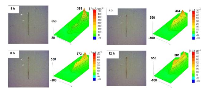 Figura 2 - Imagens do corpo de prova e mapas de densidade de corrente, obtidas para os CPs revestidos com duas demãos de tinta alquídica com defeito sem adição de nanotubos de haloisita para