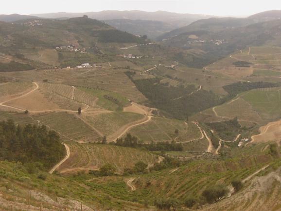 Vale de Mendiz Localização População Residente Área Situada a norte da confluência do rio Pinhão com o rio Douro, S. Domingos de Vale de Mendiz, dista 12 km da sede de concelho.