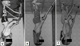 Na avaliação inicial, foram coletados os dados da ficha de anamnese, que continham informações sobre dados pessoais e histórico clínico da criança.