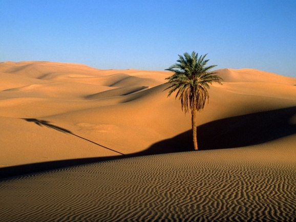 Desertos Mojave, Sul da Califónia Gobi,