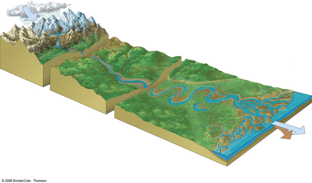 Ecossistemas de água doce Chuva e neve Lago Geleira Correnteza Cachoeira Tributário Lago Pântano de água salgada Oceano Zona Fonte Delta Sedimento depositado Zona de transição Zona