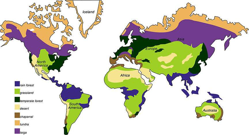 Distribuição dos biomas no planeta Floresta pluvial