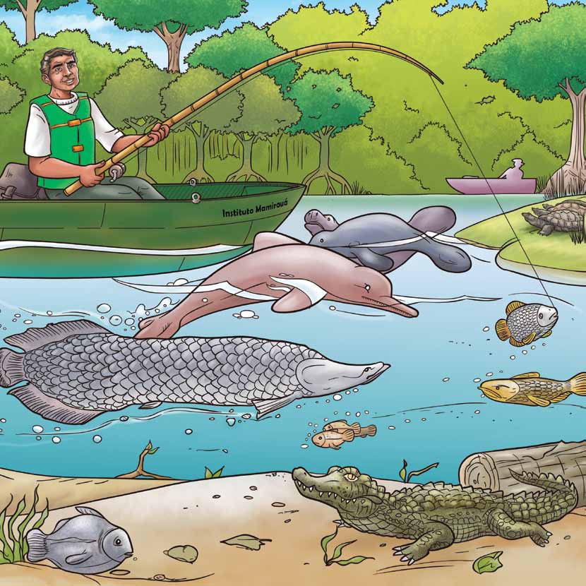 E é assim: protegendo nossos lagos e os locais de desova dos jacarés e colaborando com as pesquisas do Instituto Mamirauá que vamos garantir a
