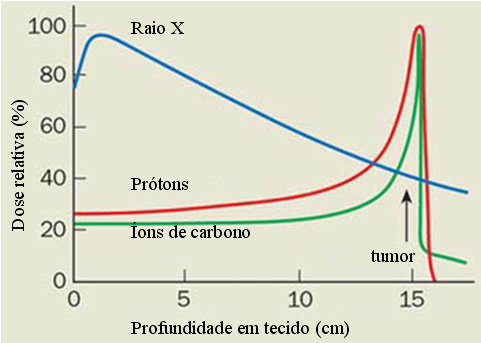 31 2.3 Terapia do Câncer com Feixe de Prótons O princípio em que se baseia o tratamento por feixes de prótons é o mesmo de qualquer radiação ionizante (MEIKLE, 2003).