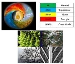 TEMÁRIO 4 Ferramentas de suporte do Mentor / Coach ISOR Professional, Self & Life Bolhas mentais Oito dificultadores Dimensões da Empresa Focos