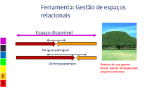 FERAMENTAS E INSTRUMENTAIS MASTER 01 Níveis da Mente 02 Rastreamento de Líderes 03 Dimensões da Organização 04 Visão Processual 05 Regulação do Líder 06