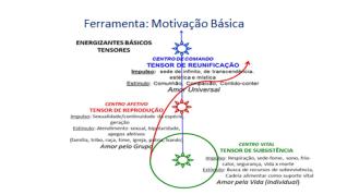 Operacional 18 Gestão do Conhecimento 19 Campos e Dinâmicas Humanas 20