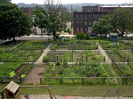 (estratégia de) Desenho Urbano - integração do solo e suas potencialidades Agricultura urbana Alimentação/Consumo local Recreio parque agrícola