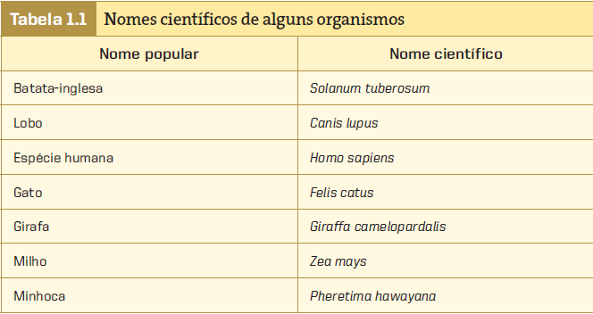 É possível que você conheça nomes científicos como Homo sapiens (espécie humana), Drosophila melanogaster