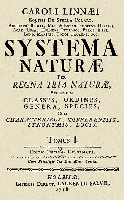 O sistema de classificação de Lineu A classificação biológica moderna teve início com os trabalhos do botânico sueco Carl von Linné (1707-1778), também conhecido por