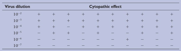 Ensaio de diluição End-point Serve para determinar o título de vírus antes do desenvolvimento de placas.