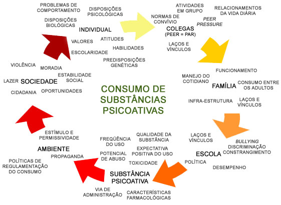 Figura 2: O padrão de consumo dos indivíduos é moldado por uma série de fatores de proteção e risco.