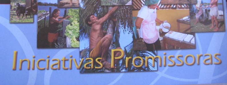 238 Figura 8 Projeto PróVárzea iniciativas promissoras Fonte: Projeto Manejo dos Recursos Naturais da Várzea, publicação IBAMA e MMA (2000), distribuído no lançamento do Projeto.