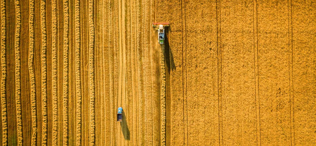 Sem dúvidas, a falta de coordenação entre os agentes envolvidos na oferta doméstica de trigo é maléfica para o Brasil como um todo, e afeta a indústria de trigo de várias formas.