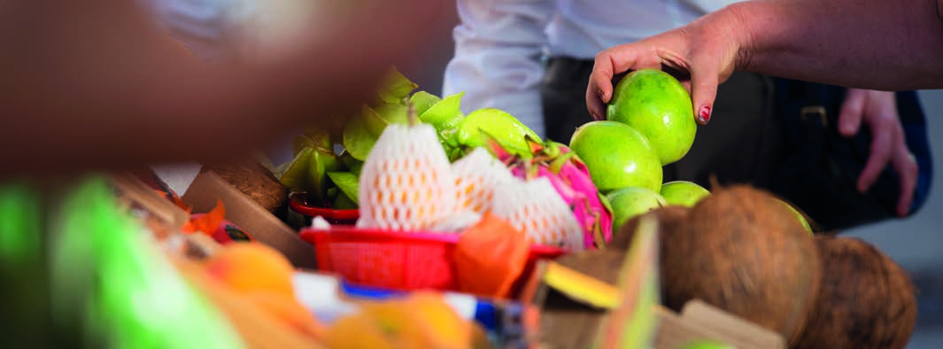 IDEIAS Uma campanha de conscientização e promoção de melhores hábitos de consumo O projeto para uma campanha de conscientização é focado no combate ao desperdício de alimentos e promoção da melhor